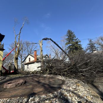 Madcow Outdoor Service - Tree Services Near Me - Alton, Illinois Madcow Outdoor Service - Tree Services Near Me - Alton, Illinois
