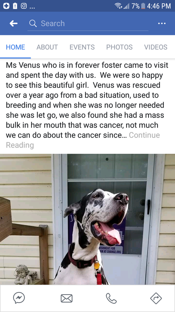 ST. AUGUSTINE HARLEY ANGELS DOG RESCUE Updated September 2024 14