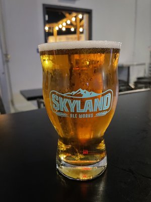 Skyland Ale Works by null