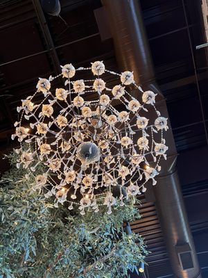 Eclipse di Luna - Alpharetta by null