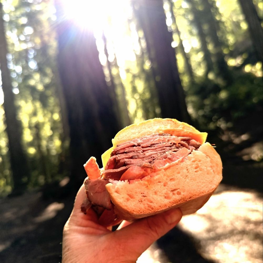 Schat's Bakery & Deli - Roast beef sandwich at Montgomery Woods SP. - Cafes Near Me - Ukiah, California Schat's Bakery & Deli - Roast beef sandwich at Montgomery Woods SP. - Cafes Near Me - Ukiah, California