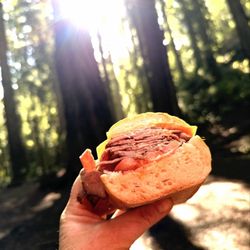 Schat's Bakery & Deli - Roast beef sandwich at Montgomery Woods SP.