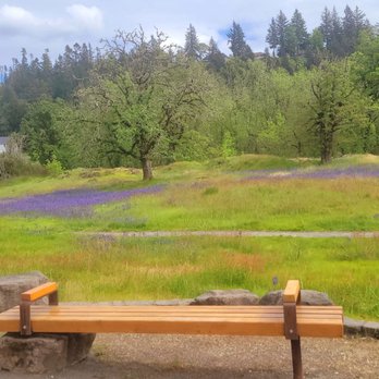 Canemah Park - Benches everywhere - Parks Near Me - Oregon City, Oregon