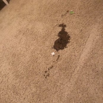 Carpet Dryclean - Before - Carpet Cleaning Near Me - Raleigh, North Carolina