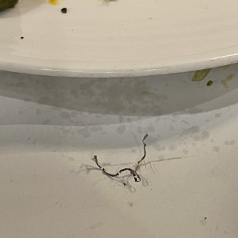 Mantra India - I was shocked to find a piece of a steel dish scrubber in  dal makhni. This is absolutely unacceptable andaserious healthhazard - Indian Near Me - Mountain View, California