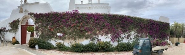 Masseria TORRE COCCARO by null