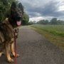 Photo of Kelevra’s Training