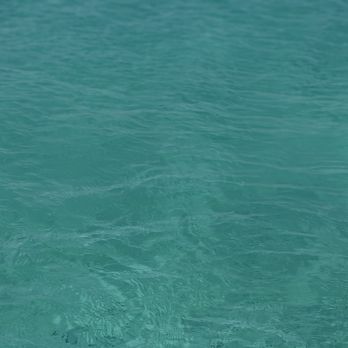 Caribbean Sea Adventures - Buck Island Sea - Boat Charters Near Me - Christiansted, Virgin Islands Caribbean Sea Adventures - Buck Island Sea - Boat Charters Near Me - Christiansted, Virgin Islands