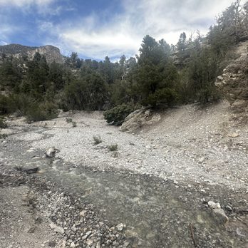 Fletcher Canyon - Hiking Near Me - Las Vegas, Nevada Fletcher Canyon - Hiking Near Me - Las Vegas, Nevada