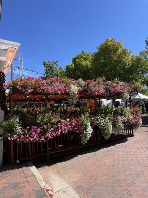 Plaza Cafe Downtown by null