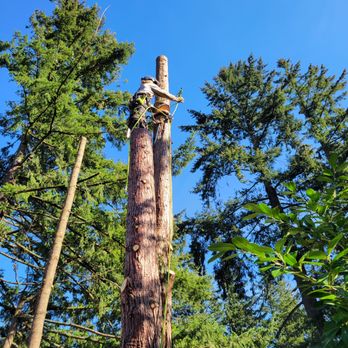 Big Top Trees - Tree Services Near Me Big Top Trees - Tree Services Near Me