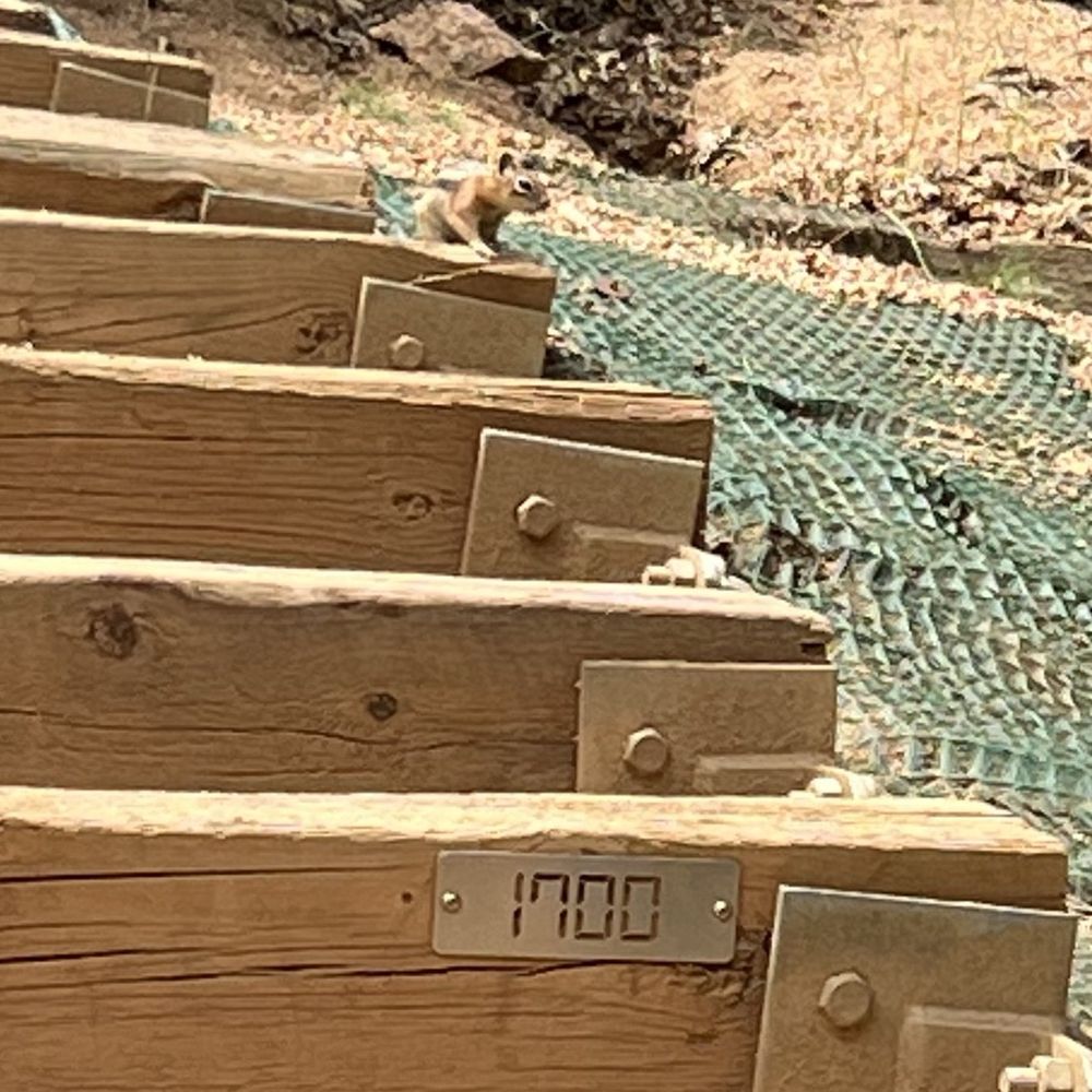 Manitou Incline - Steps marked every 100 steps - Hiking Near Me