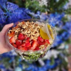 Strawberry Walnut Salad
Served with white Strawberry peach Balsamic and Greek oil
