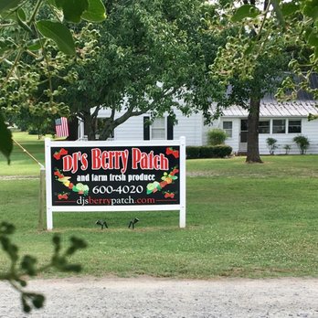 DJ's Berry Patch - Do-It-Yourself Food Near Me - Apex, North Carolina
