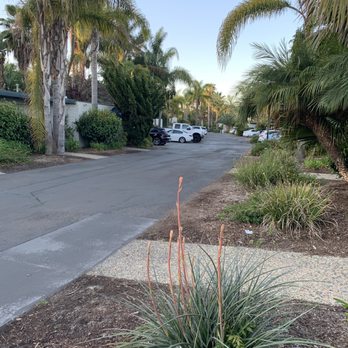 Paradise Point - The property around the front door of my bunker. - Resorts Near Me - San Diego, California Paradise Point - The property around the front door of my bunker. - Resorts Near Me - San Diego, California