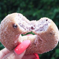 First Stop Donuts - Full of blueberries packed with great flavor