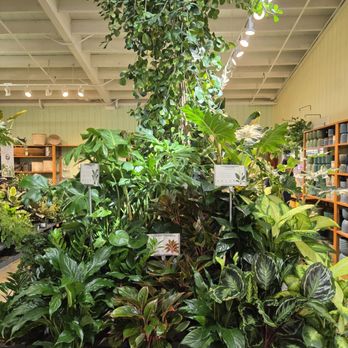 Armstrong Garden Centers - Nurseries & Gardening Near Me - Thousand Oaks, California