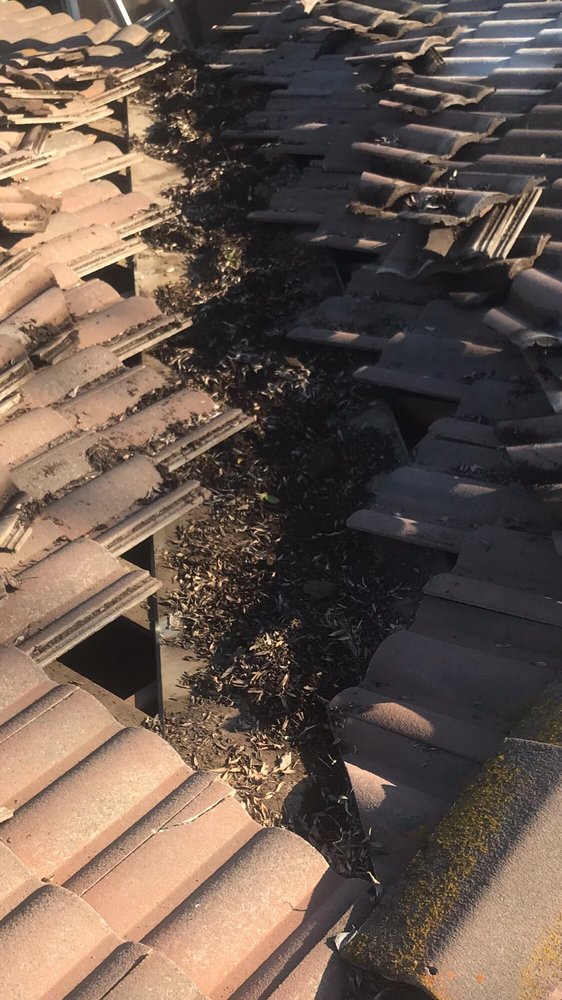 Slide of RidgeValley Roofing