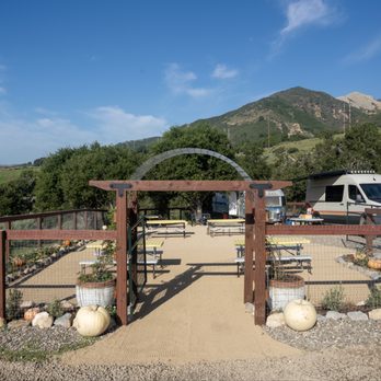 Harris Gaviota Farm - Pick Your Own Farms Near Me - Gaviota, California Harris Gaviota Farm - Pick Your Own Farms Near Me - Gaviota, California