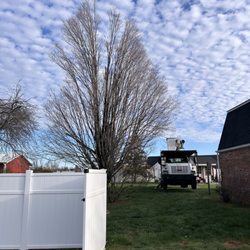 Dixon Tree Service