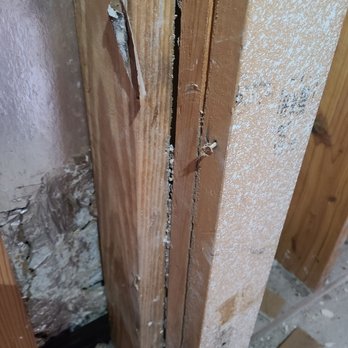 EnSec Pest & Lawn - Termite tunnels - Pest Control Near Me - Cantonment, Florida EnSec Pest & Lawn - Termite tunnels - Pest Control Near Me - Cantonment, Florida