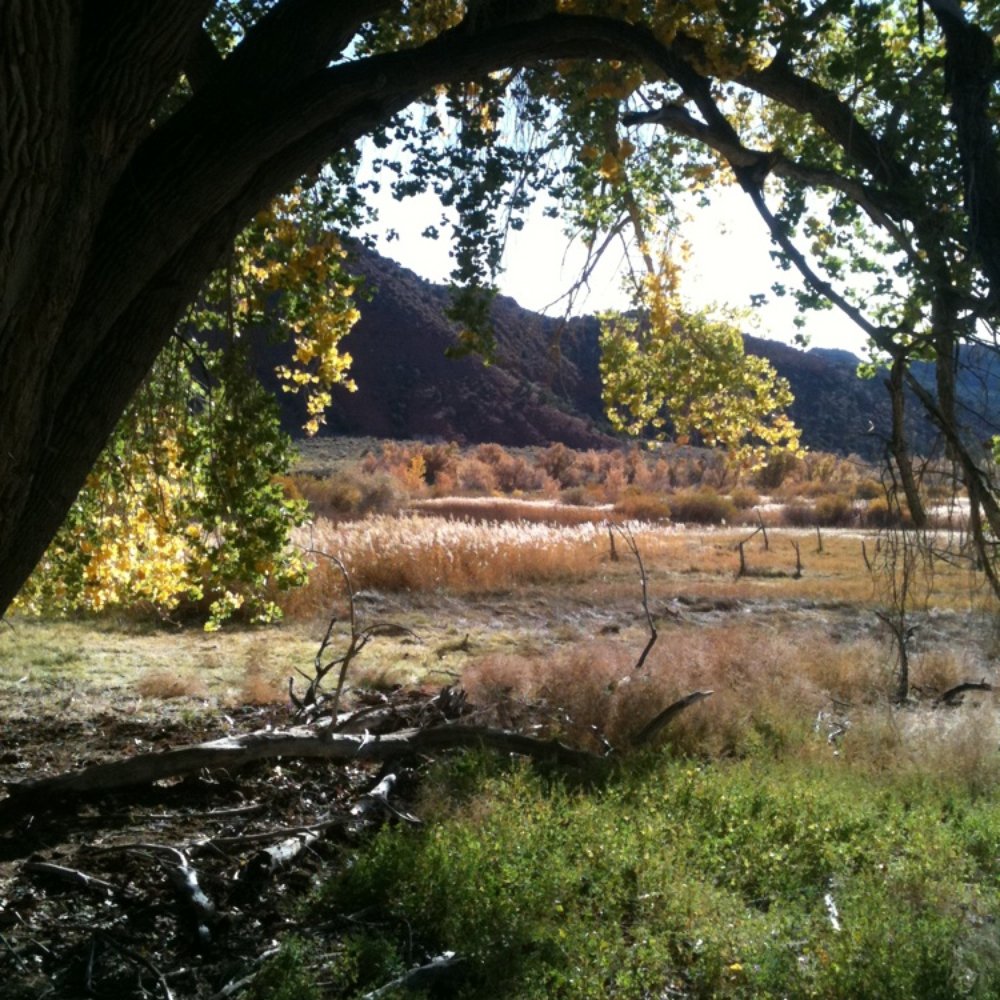 Dinosaur National Monument - Josie's cabin area--end of the road and worth it! - Museums Near Me - Dinosaur, Colorado
