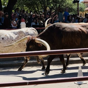 The Stockyards - Local Flavor Near Me - Fort Worth, Texas The Stockyards - Local Flavor Near Me - Fort Worth, Texas
