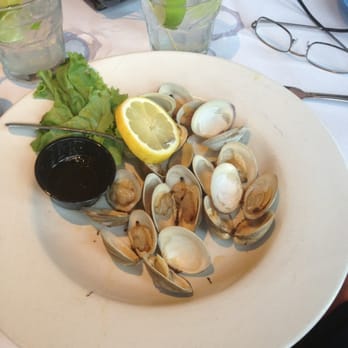 Mango's - Steamed Clams, excellent. - Caribbean Near Me - Bethany Beach, Delaware Mango's - Steamed Clams, excellent. - Caribbean Near Me - Bethany Beach, Delaware