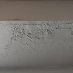 Real Property Management Enterprises - Mold behind this plaster. In bedroom.