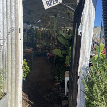 Hugo’s Nursery - Nurseries & Gardening Near Me - Gilroy, California Hugo’s Nursery - Nurseries & Gardening Near Me - Gilroy, California