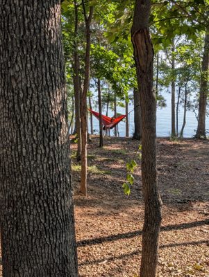Dreher Island State Park by null
