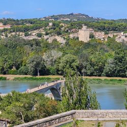Avignon