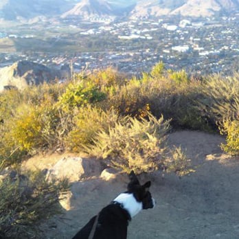 Wag 'n' Trails - Winnie on top of San Luis Cerro Mountain - Dog Walkers Near Me Wag 'n' Trails - Winnie on top of San Luis Cerro Mountain - Dog Walkers Near Me