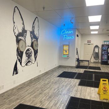 Immaculate Paws - Pet Groomers Near Me - Riverside, California Immaculate Paws - Pet Groomers Near Me - Riverside, California