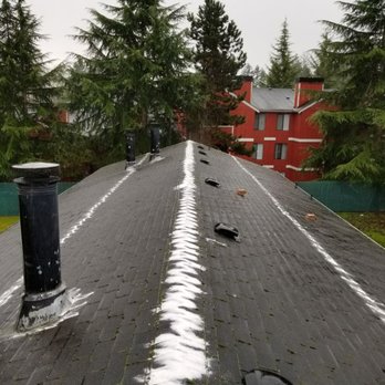 Cutting Edge Building Maintenance - Applying moss killer to roof. - Window Washing Near Me - Puyallup, Washington Cutting Edge Building Maintenance - Applying moss killer to roof. - Window Washing Near Me - Puyallup, Washington