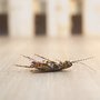 Photo of Farmer Termite & Pest Control