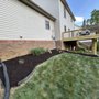 Lex Landscaping