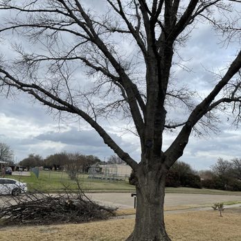 Green Sight Landscaping Solutions - Tree Services Near Me Green Sight Landscaping Solutions - Tree Services Near Me