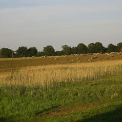 Pension Fröhlich - Blick auf Sudedeich bei Timkenberg