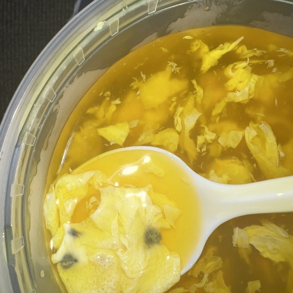 Egg drop soup with MOLD. Egg drop soup with MOLD.