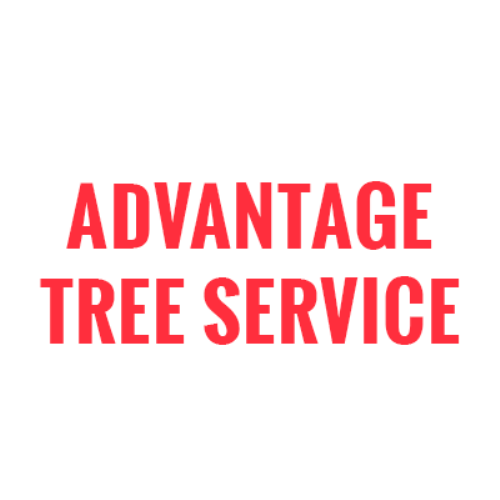 ADVANTAGE TREE SERVICE Updated August 2024 4851 18th St, Charleston
