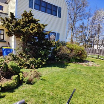 Elephant Landscaping - a yard with a lawn mower in front of a house - Snow Removal Near Me Elephant Landscaping - a yard with a lawn mower in front of a house - Snow Removal Near Me