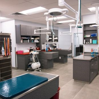 Paradise Point Animal Hospital - Dental & Treatment area. - Veterinarians Near Me - Phoenix, Arizona Paradise Point Animal Hospital - Dental & Treatment area. - Veterinarians Near Me - Phoenix, Arizona