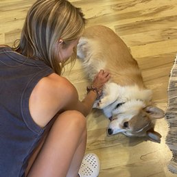 Penny the Corgi looooves some belly rubs