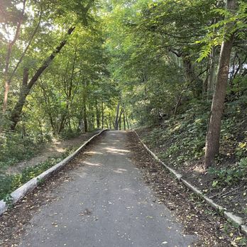 David A Balfour Park - Trail - Parks Near Me - Toronto, Ontario