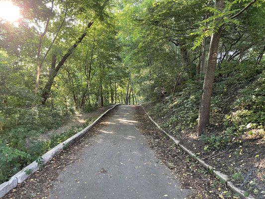 David A. Balfour Park by null