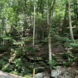 Signal Mountain - Beautiful park