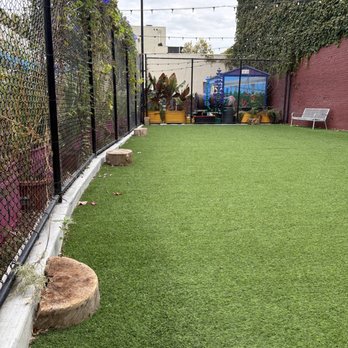 SoFA Pocket Park - Dog Parks Near Me - San Jose, California SoFA Pocket Park - Dog Parks Near Me - San Jose, California