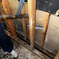 Real Tme Mitigation - Mold removal