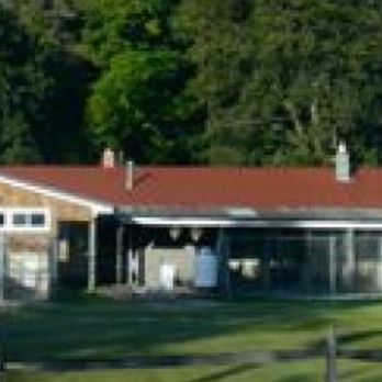 Diamond Brook Kennels - Pet Groomers Near Me - Brandon, Vermont Diamond Brook Kennels - Pet Groomers Near Me - Brandon, Vermont
